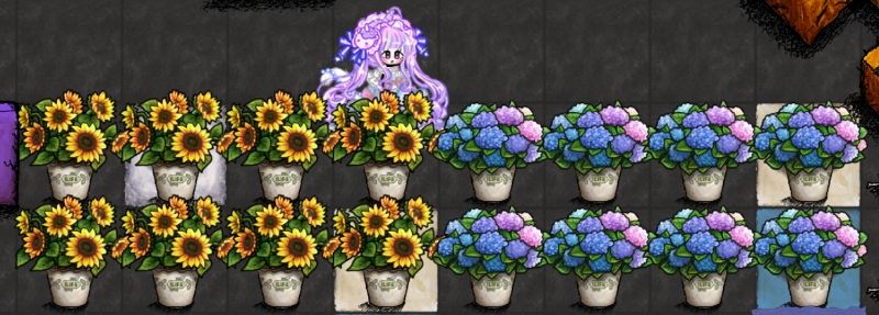 ⭐来买花花吧⭐ 2