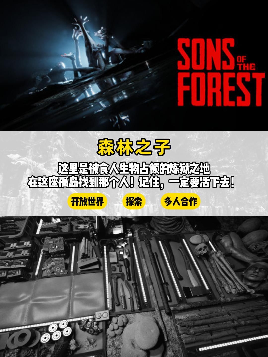 是生存还是死亡?五款生存恐怖游戏推荐 2