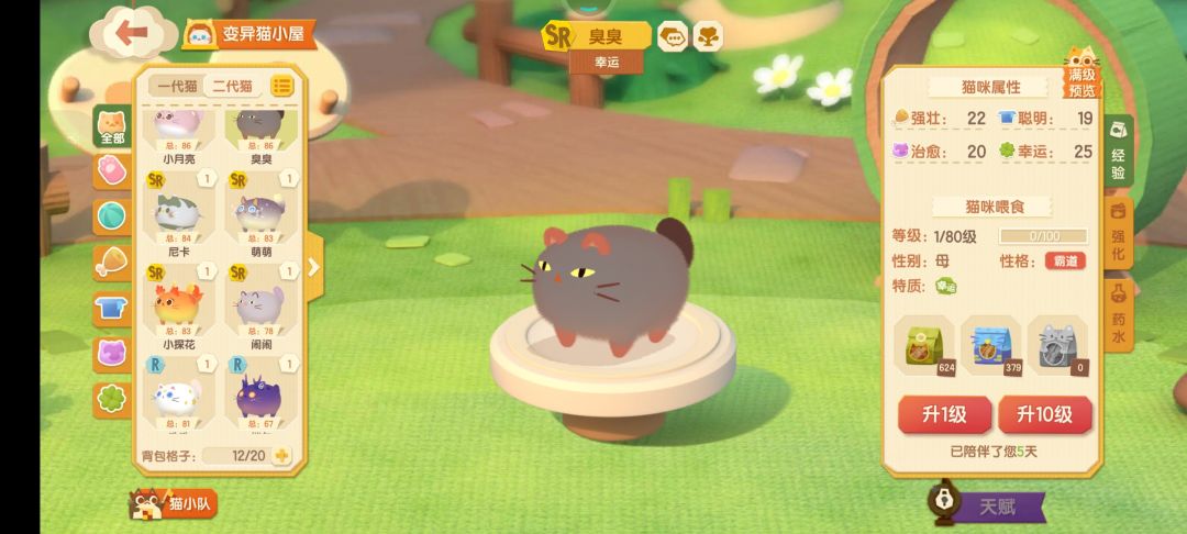 配的什么猫不用我多说了吧... 1