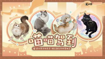 经主人潜心教导，逆家猫猫竟学会了轻功！【猫咪系列外观抢鲜看】