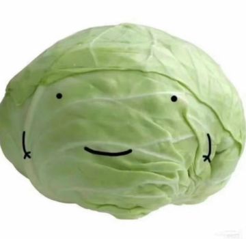 信守承诺做不到就赶紧倒闭🤡