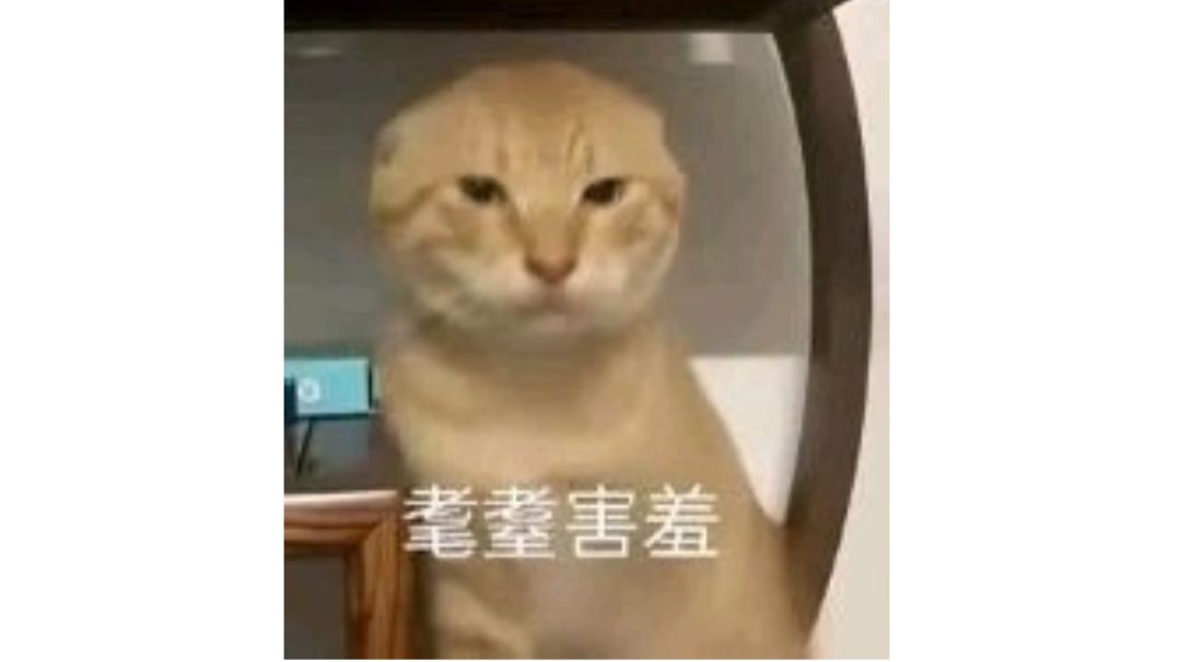 佛门偷经书凑400速攻略截图