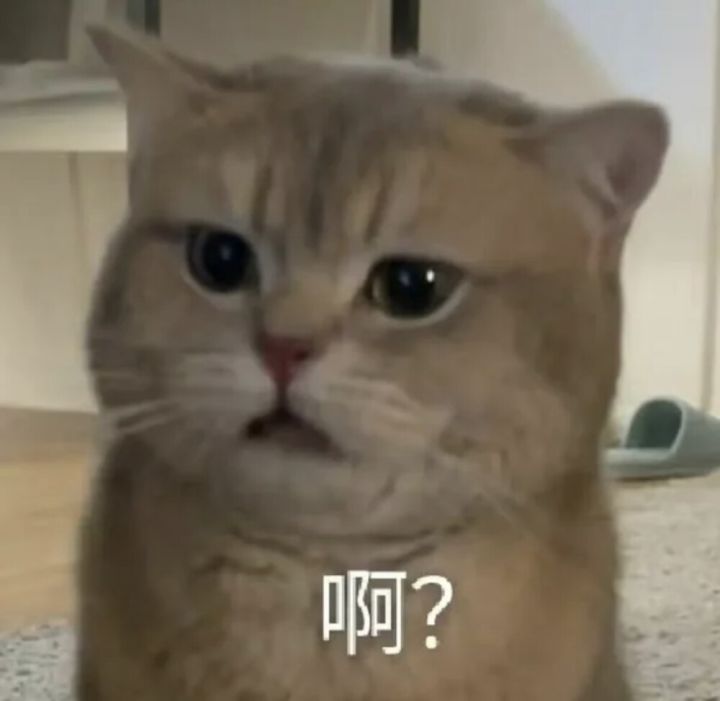 伺夜这次不给黄票了?截图