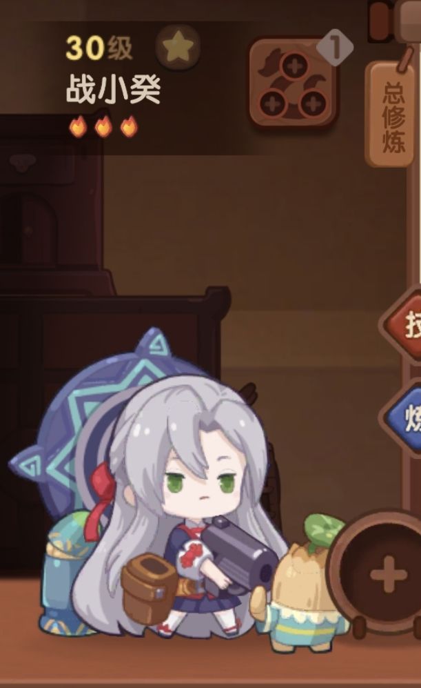 为什么有2个造型不一样的战小葵? 1