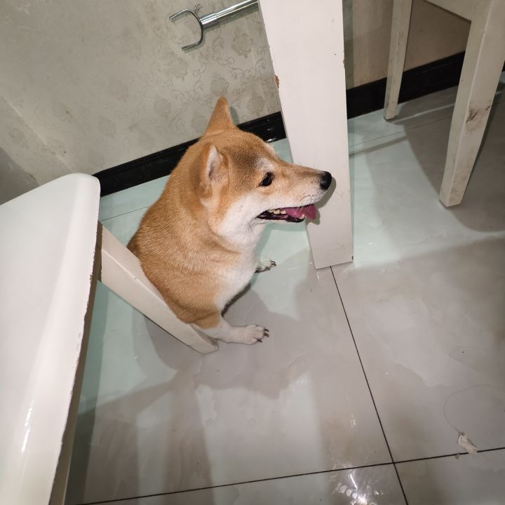 想看看大后期,全满属性,截图