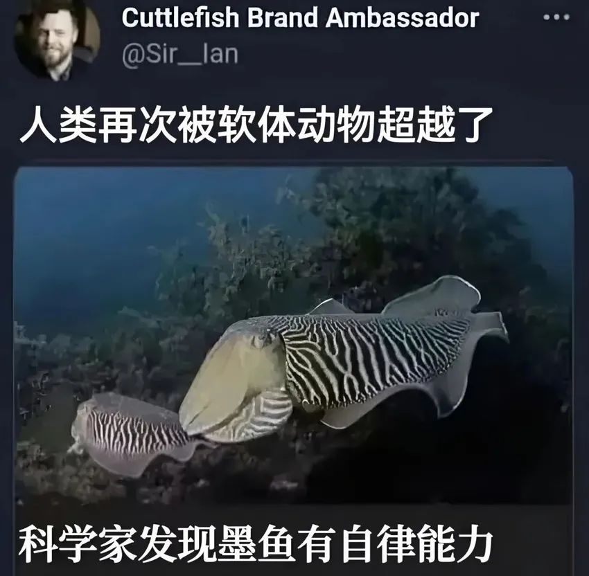✨今日份梗图分享第四期✨ 3