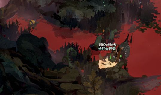 这个是不是设计有毛病啊 1