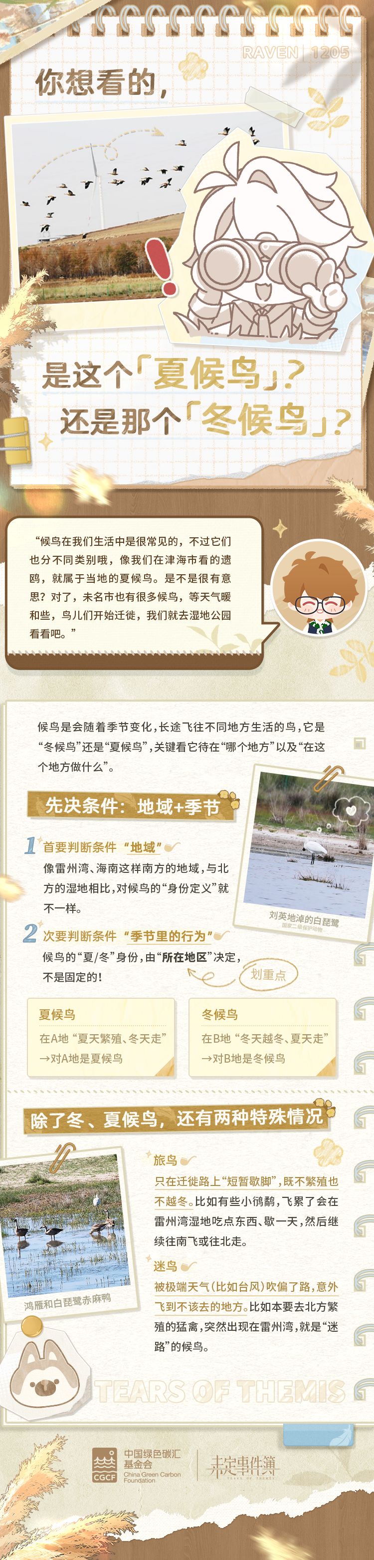 保护候鸟·公益科普 1
