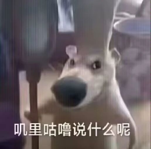 我是策划,大家的发言我都看到了,其实我是内鬼截图