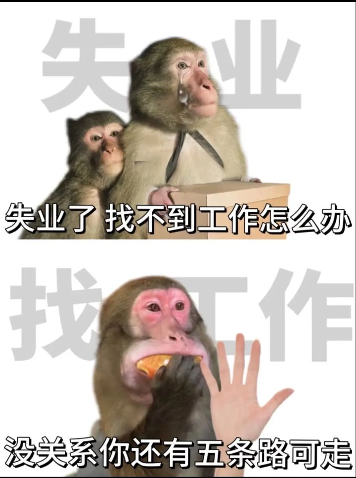 9551946821233截图