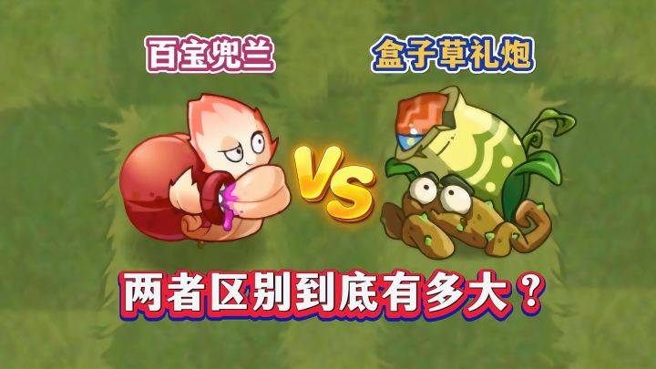 百宝兜兰VS盒子草礼炮,同样能发射随机道具,谁更胜一筹?截图