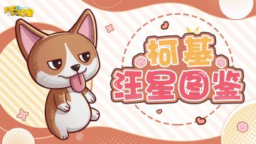 汪星图鉴丨柯基（内含福利）