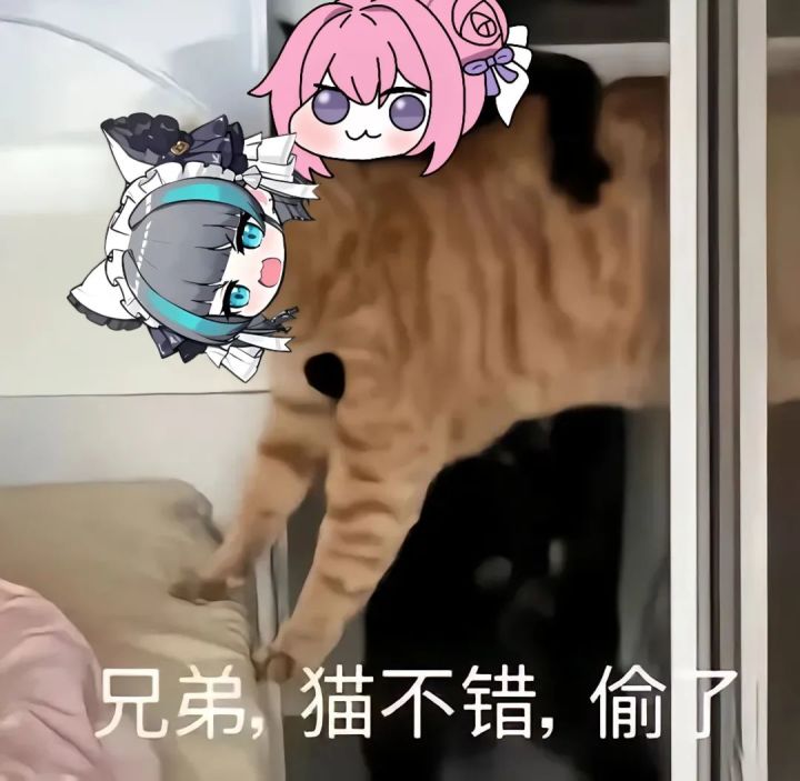 一区截图