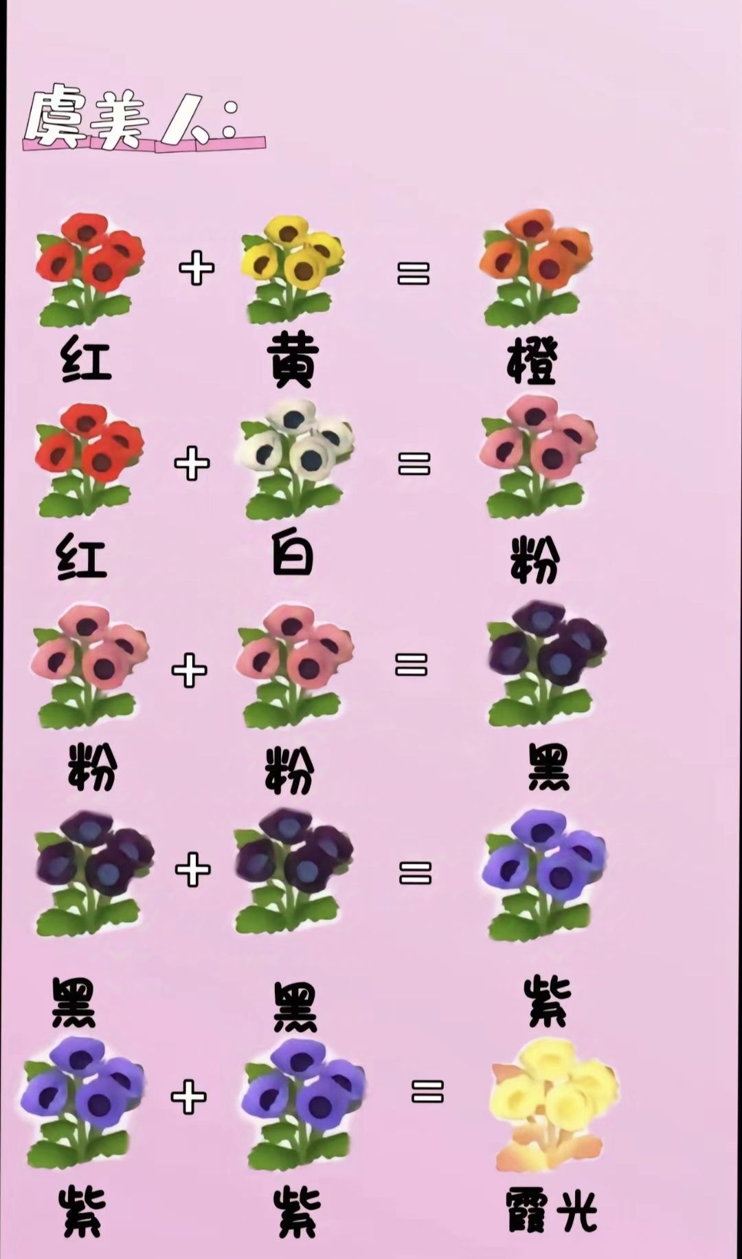 心动小镇花卉交杂 3