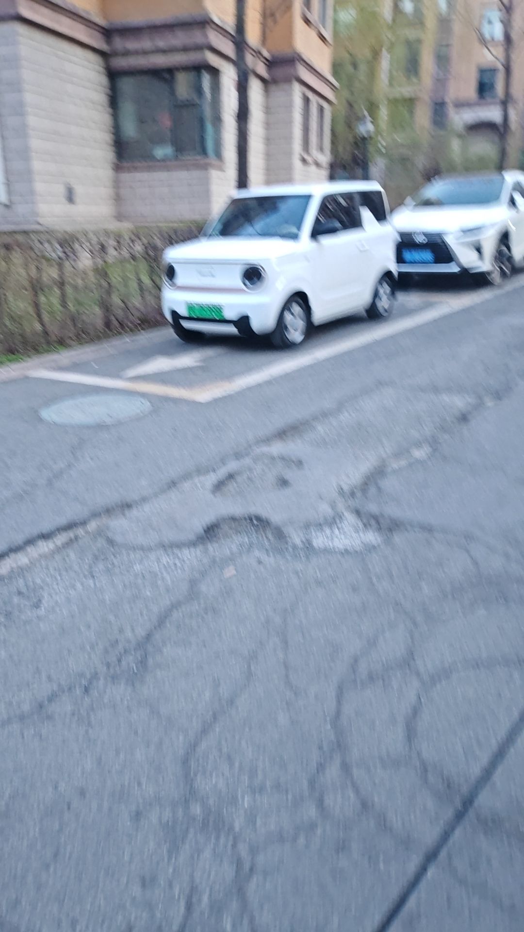 宝藏游戏又又又送皮肤啦 1