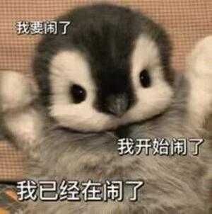 闪退问题截图