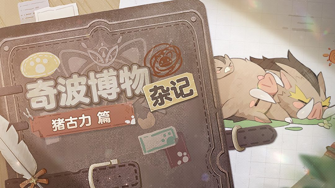 奇波博物杂记 | 猪古力篇截图