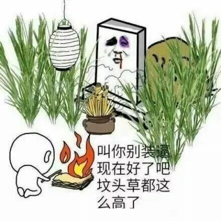我是比较佩服这公司的… 1