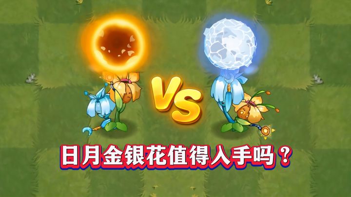 100%白嫖解锁!日月金银花1-5阶实测,它值不值得入手?截图