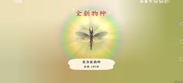 强烈要求给砍树加道锁