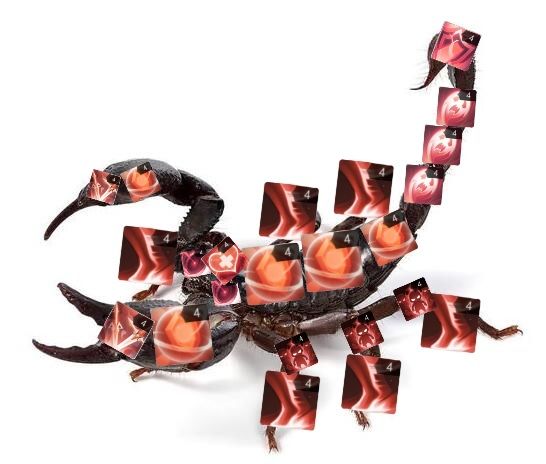 蝎子怎么养 3
