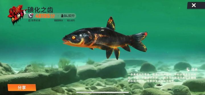 钓鱼大师体力正确使用的方法截图