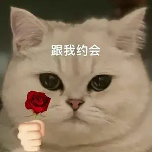 姬哥返场准备回坑截图
