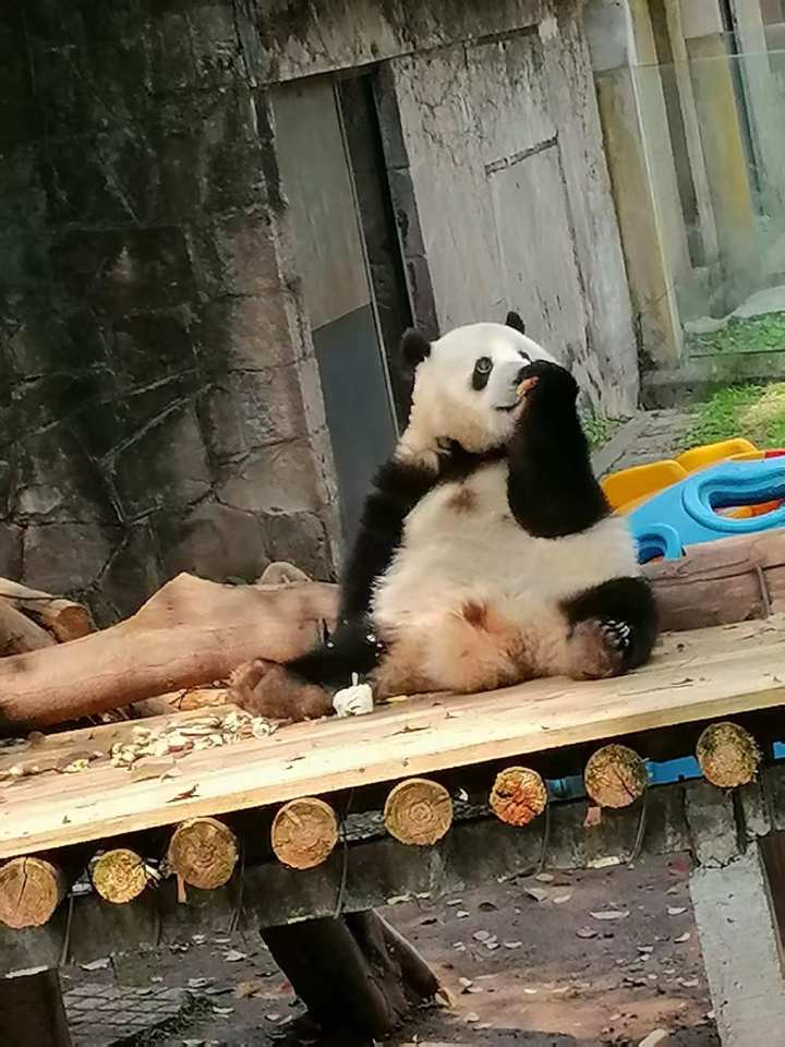 有什么推荐的加速器吗?截图