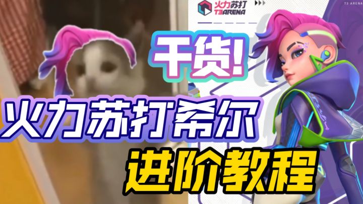 不看后悔的希尔教程 满满干货截图