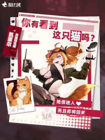 🐾寻猫启事：你有看到异国短毛猫吗？