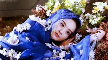 灵宠技能介绍三