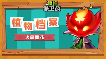 「植物档案」火凤凰花