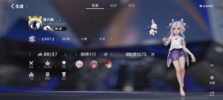 终于上王者了截图