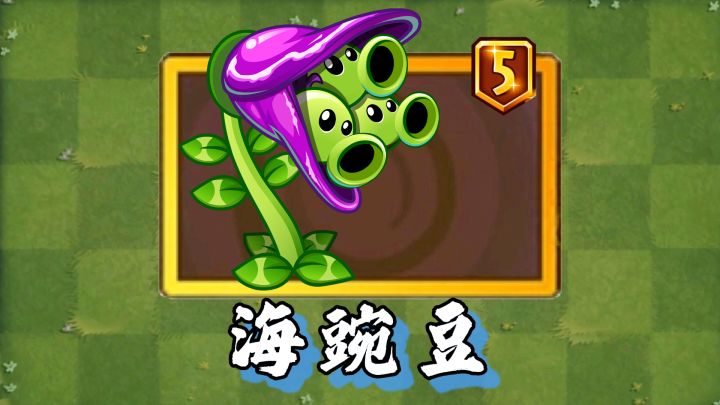 让小萨打脸2次的海豌豆，移植中文版后有哪些特性？截图