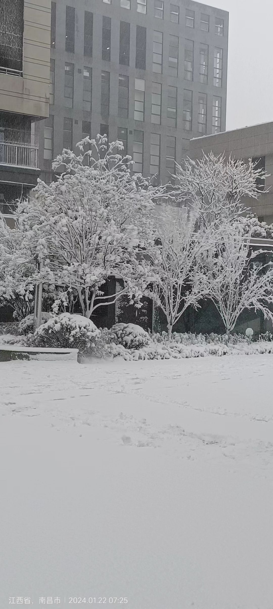 下雪了 3