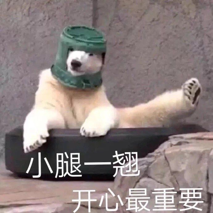 动态图片 6