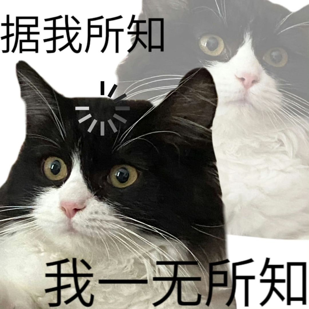 关于皮肤的个人建议 1