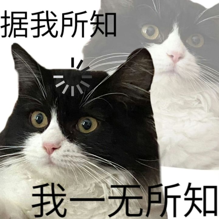 关于皮肤的个人建议截图