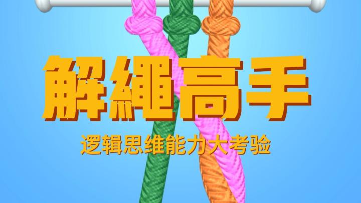 逻辑思维大挑战,休闲解压小游戏,你能解开绳子吗?截图