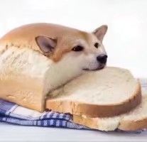 想借号玩 1