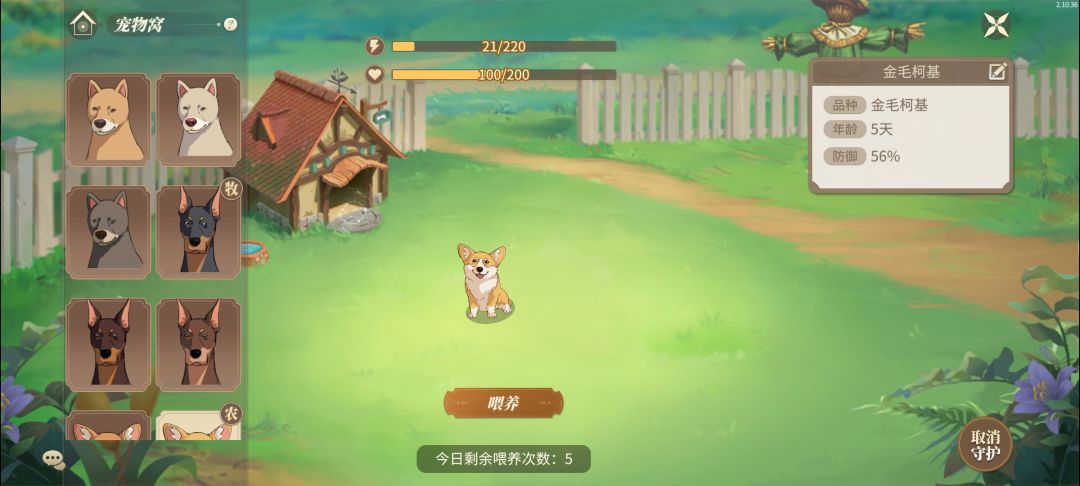 这三只狗的喂养次数 5 次好少,不能一样吗 3