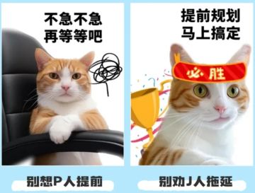 一个团队的P人和j人，是怎么配合开发游戏的？