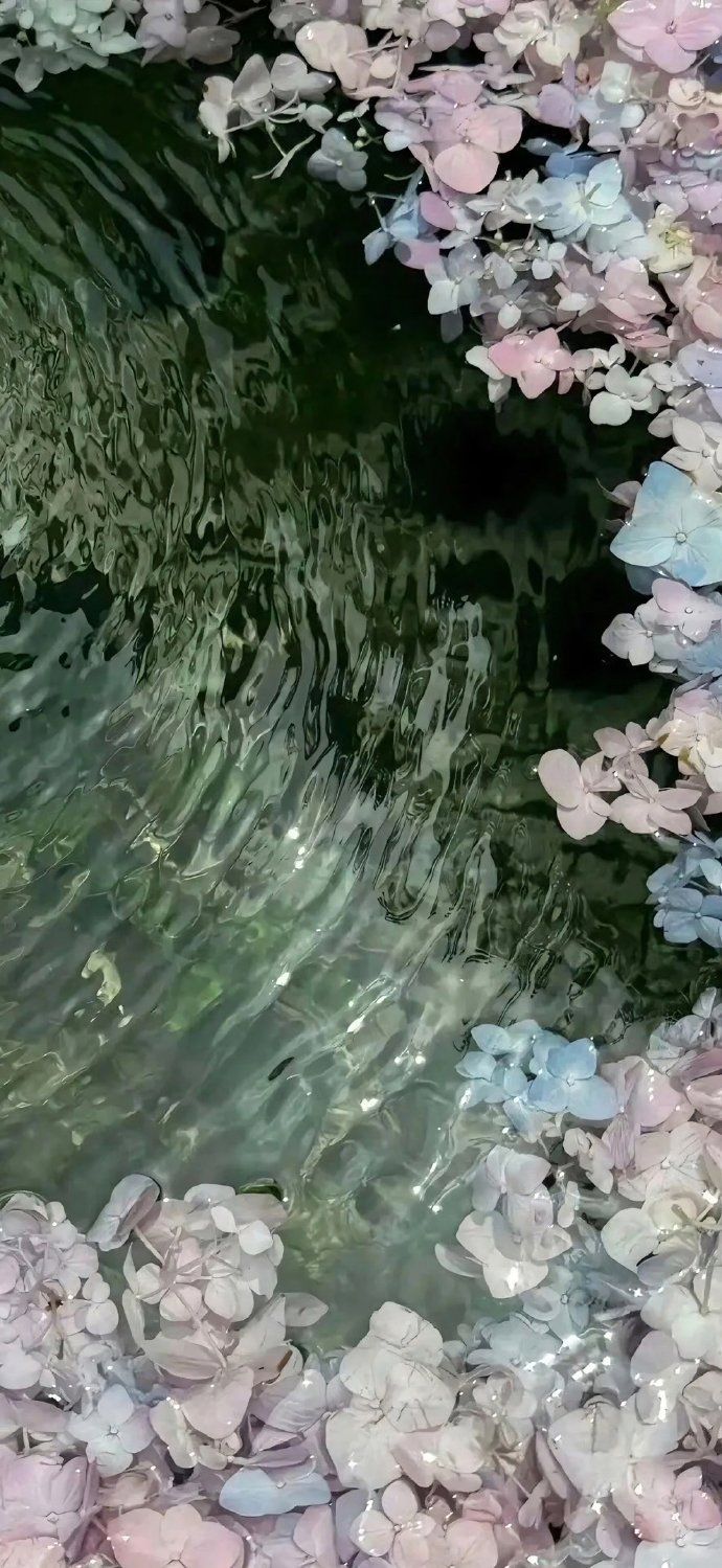 今日份壁纸——水中花，镜中月（2） 4