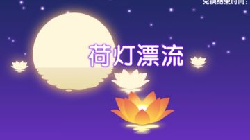 关于“荷灯漂流”活动的密宝获取