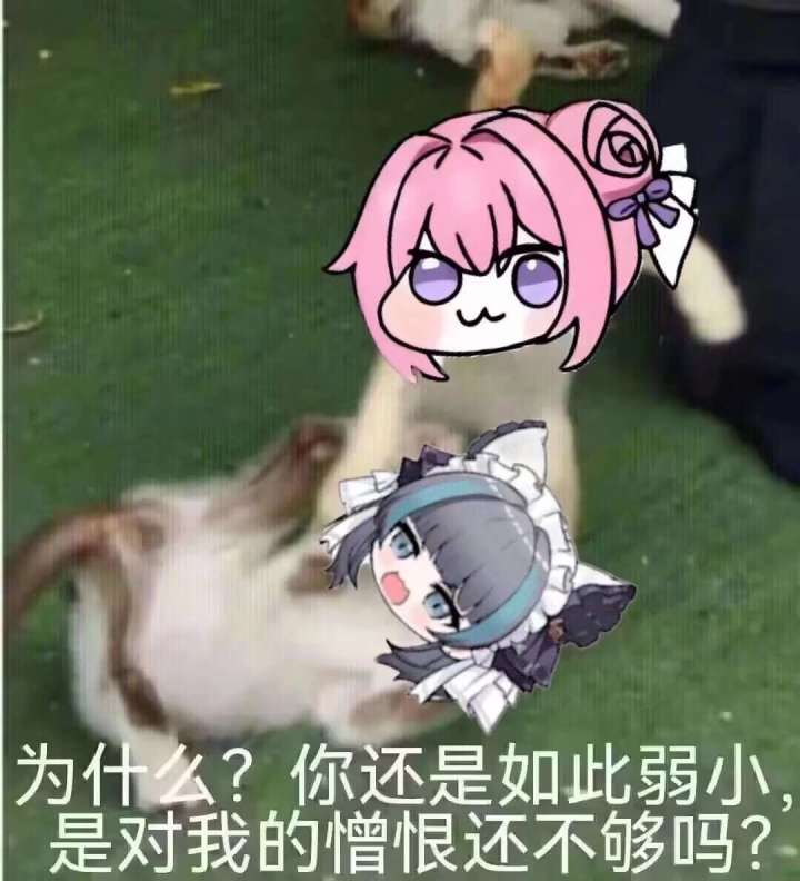 萧炎火之法则截图