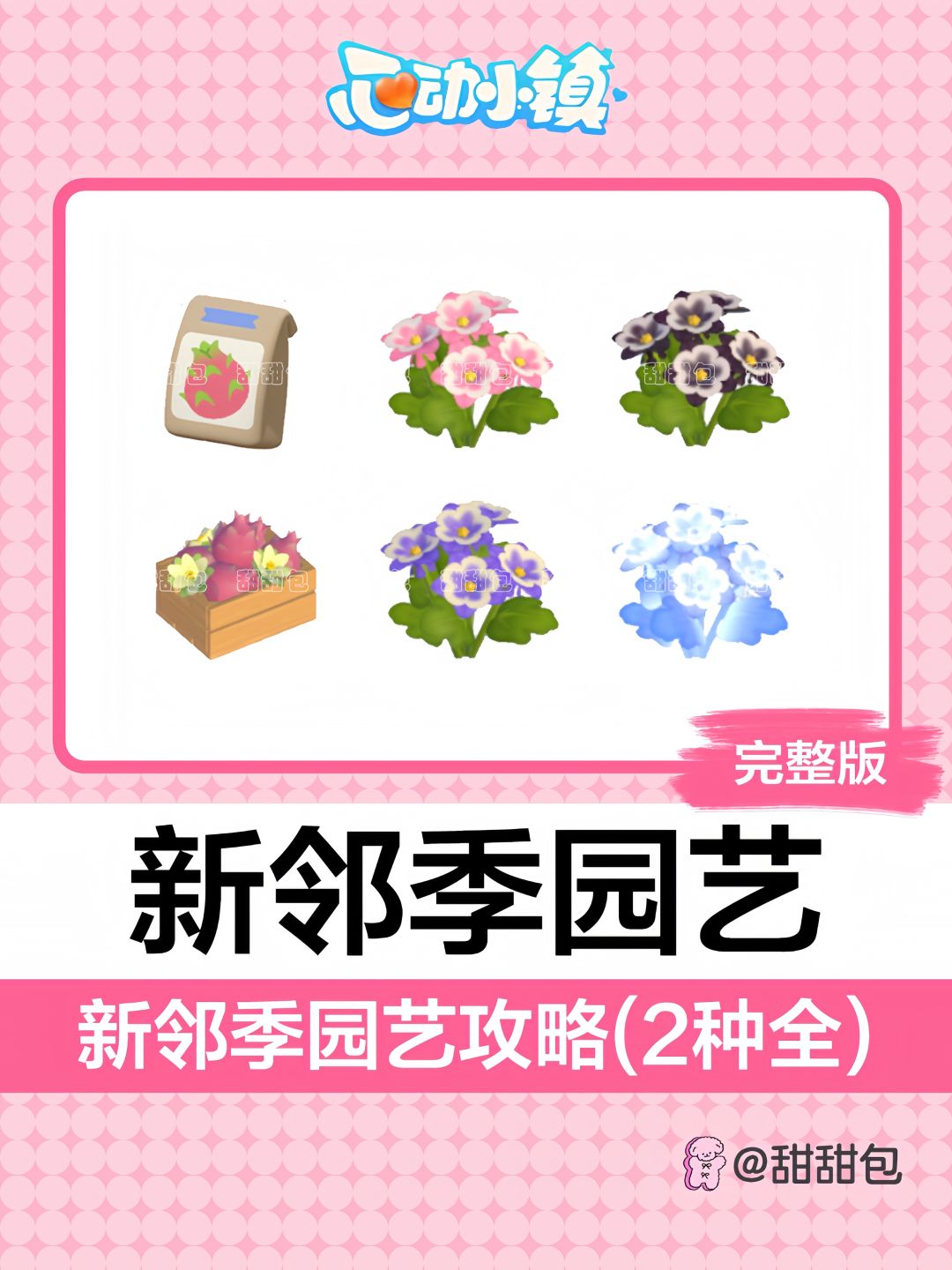 新邻季园艺攻略丨火龙果+猫爪花 1