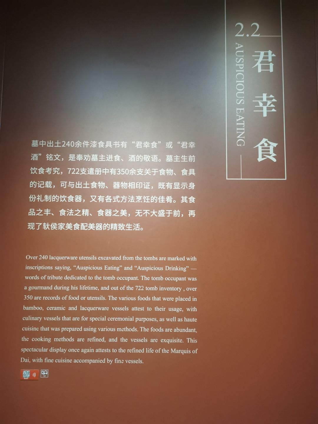 今天会会T画和小狸猫 3