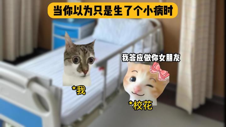当你以为自己只是生了个小病时截图