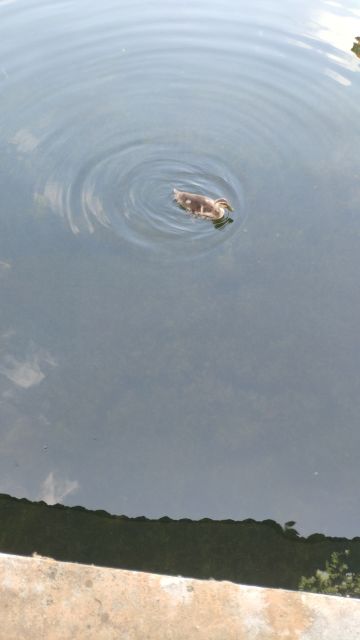 jy+3～(˵¯͒〰¯͒˵)