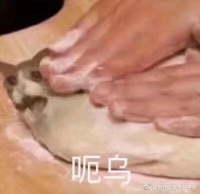 动态图片 1